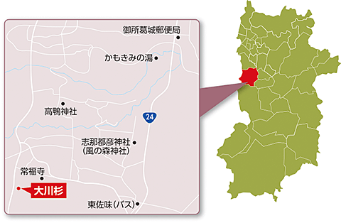 大川杉の周辺地図