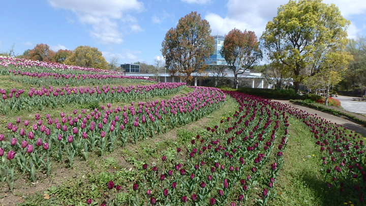 公園館前