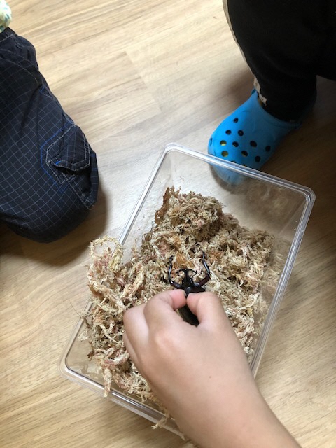むし