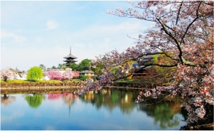 ため池の治水利用