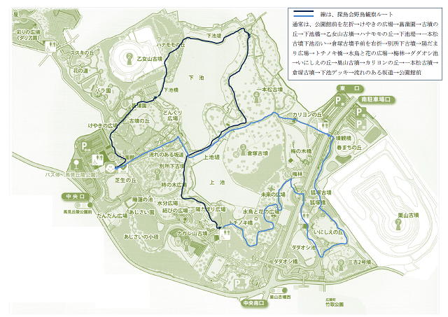 探鳥会の観察コース