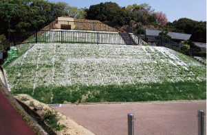 平野塚穴山古墳史跡公園