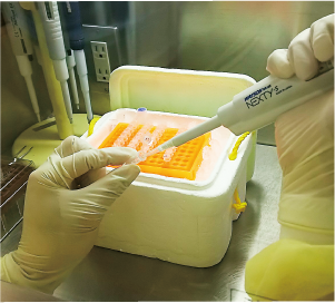 PCR検査体制の更なる強化