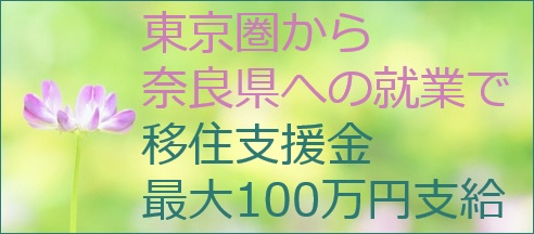 移住支援金について