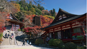 談山神社