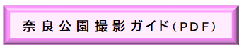 撮影ガイド