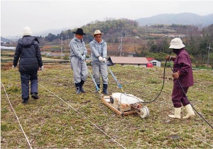 地中レーダー探査の様子