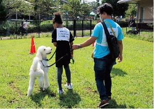 県民ニュース　動物愛護フェステバル