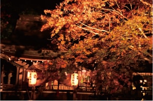 桜井市　等彌(とみ)神社