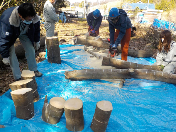 きのこの原木栽培研修