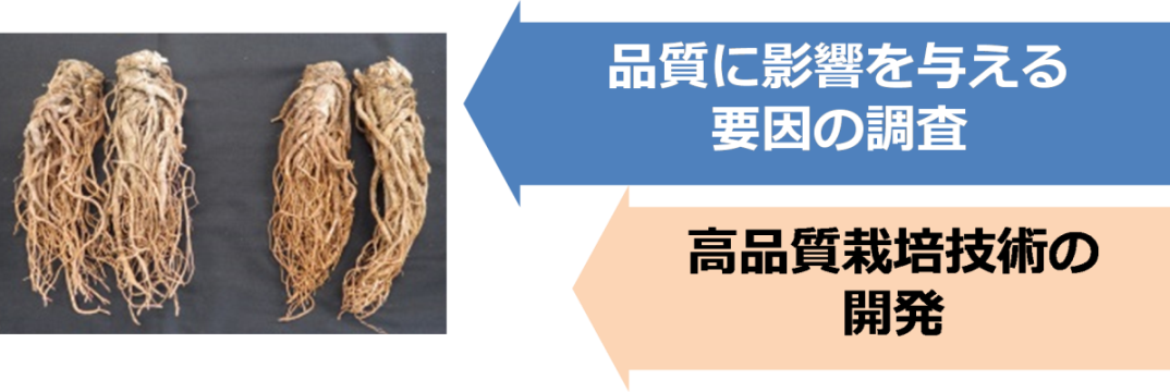 高品質生産技術開発の図