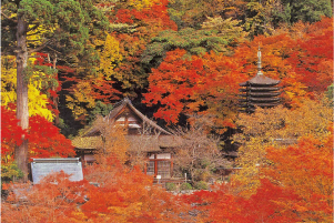 談山神社