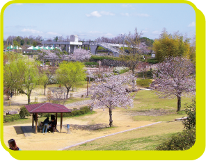 花とせせらぎ広場