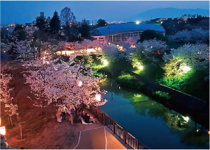 大和郡山お城まつり