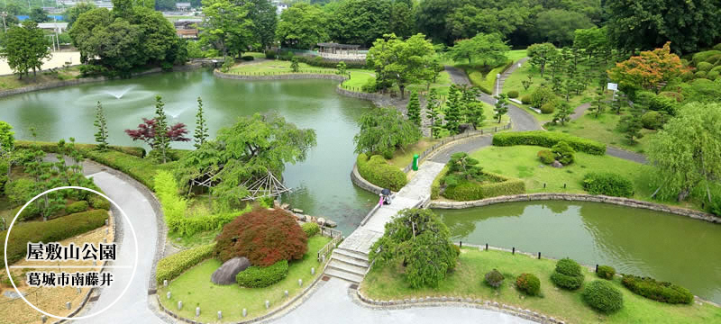 トップイメージ夏