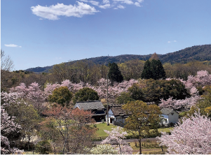 春の古民家園