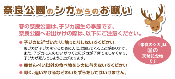 鹿のお願いタイトル