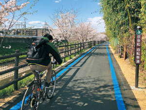 京奈和自転車道