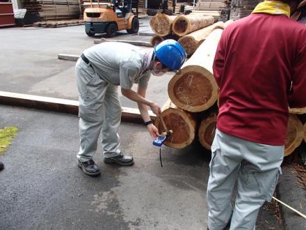 【県産材の利用（加工、利用技術の向上）】県産スギおよびヒノキの原木段階における製材品の強度予測
