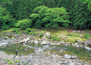 鮎釣り