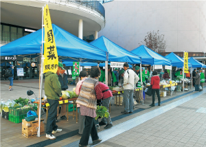 生駒産の新鮮