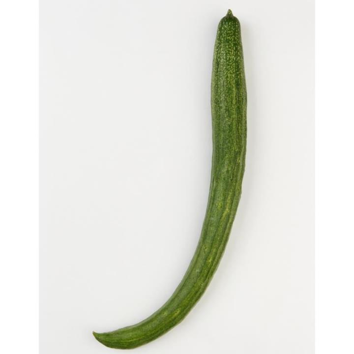 キュウリ 奈良県公式ホームページ