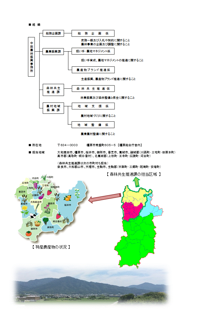 事務所の組織