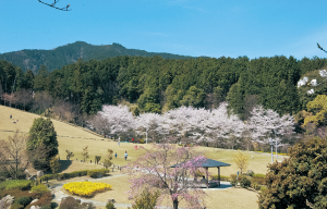 葛城山麓公園