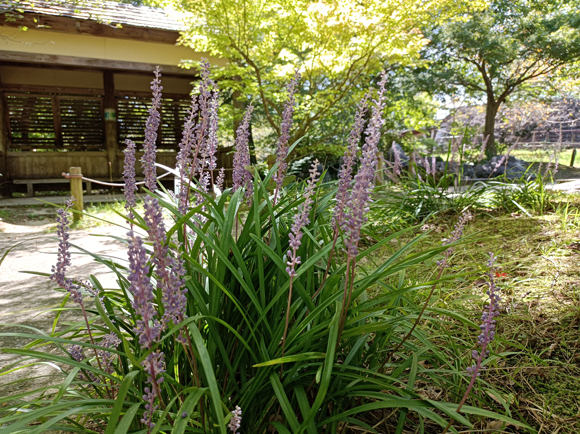 水分広場