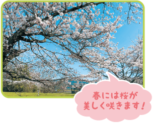 桜華殿