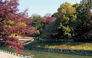 竜田川