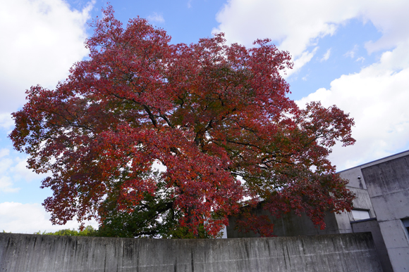 公園館前