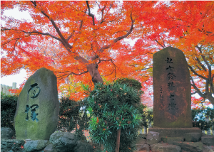 「観世能発祥の地」面塚