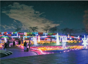 光の花咲く馬見丘陵公園