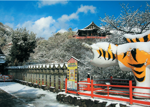 信貴山朝護孫子寺