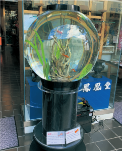 金魚ストリート