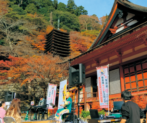 奈良県みんなでたのしむ大芸術祭1