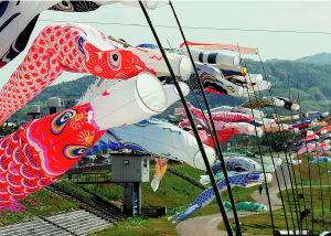 吉野川のこいのぼり