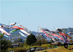 竜田川に泳ぐこいのぼり