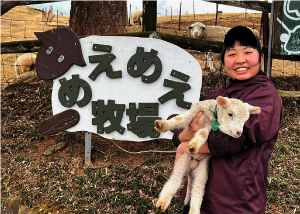 めえめえ牧場