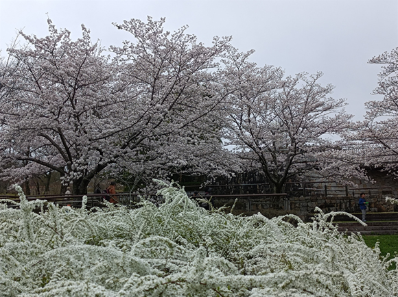 陽だまり広場