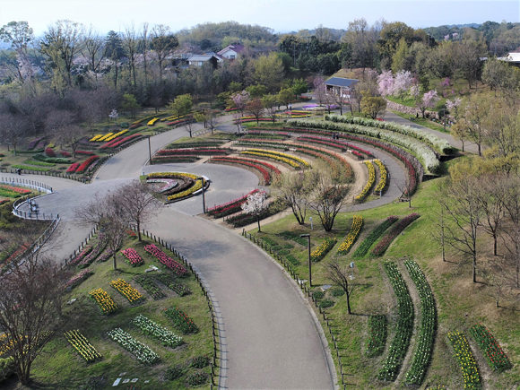 彩りの広場