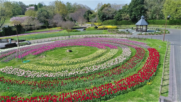 花の道