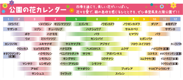 公園の花カレンダー