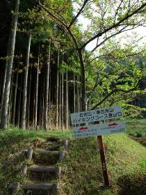 古光山登山口