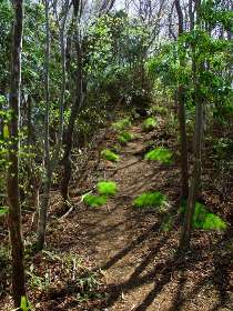 登山道