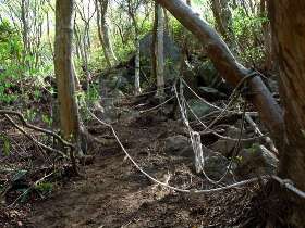 登山道