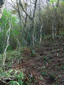 登山道