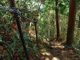 登山道