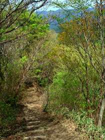 登山道